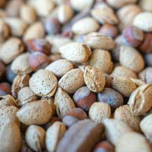 Nuts Icon